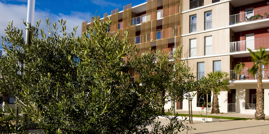 Senioriales de Juvignac